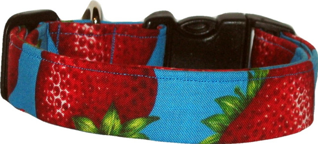 Big Strawberries on Aqua Handmade Dog Collar