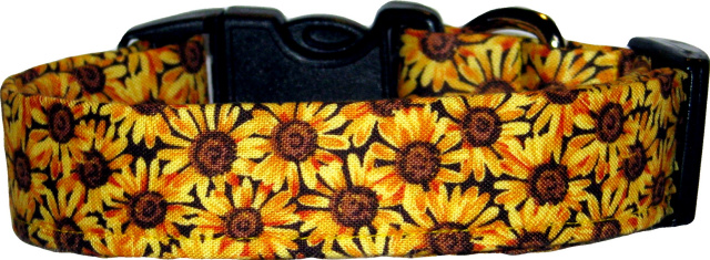 Mini Sunflowers Dog Collar