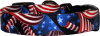 Twirling American Flags H