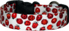 Red Ladybugs on White Handmade Dog Collar
