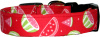 Watermelon Slices on Red Dog Collar