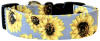 Sunflowers on Light Blue 