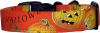 Happy Halloween! Pumpkins Handmade Dog Collar