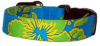 Aqua & Bright Green Hawaiian Custom Dog Collar