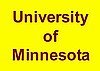 University of Minnesota Handmade Dog Collar