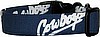 Dallas Cowboys Handmade Dog Collar