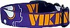 Purple Minnesota Vikings Handmade Dog Collar