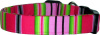 Pink Lime Black Stripes Handmade Dog Collar