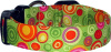 Funky Dots & Swirls on Lime Custom Dog Collar