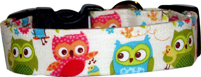 Vibrant Owls on Cream Dog Collar