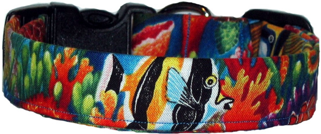 Vibrant Tropical Fish Dog Collar