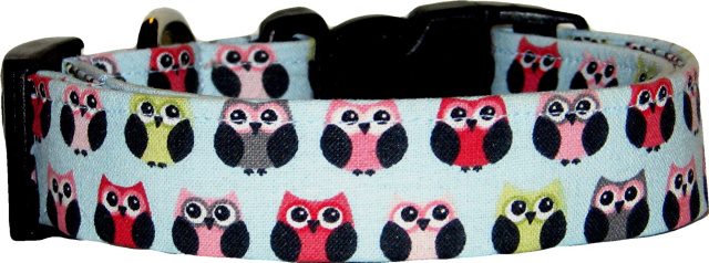 Little Owls on Light Blue Dog Collar