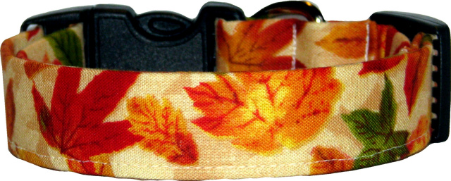 Bright Autumn Foliage on Cream Dog Collar