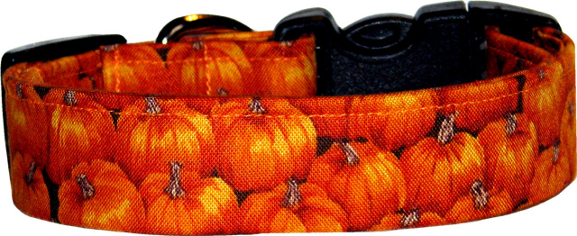 Mini Pumpkins All Over Dog Collar