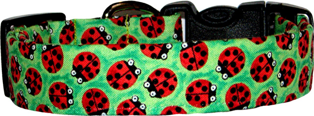 Cute Little Ladybugs on Green Dog Collar