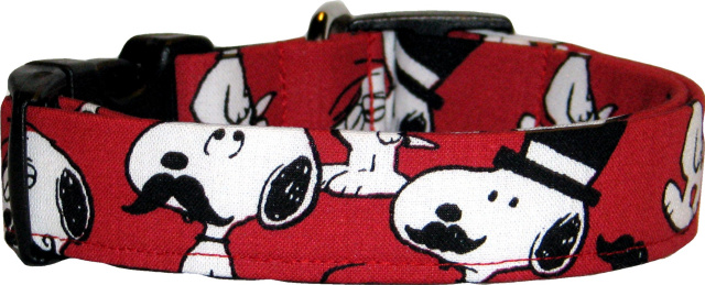Famous Cartoon Dog in Disguise Red Collar