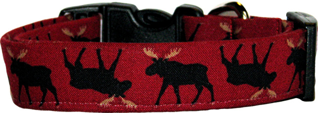 Winter Moose on Red Dog Collar