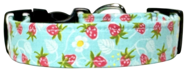 Dog Collar