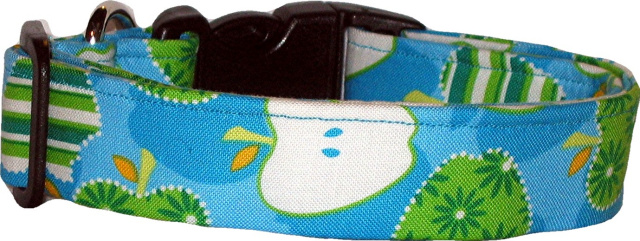 Funky Striped Apples Aqua Handmade Dog Collar