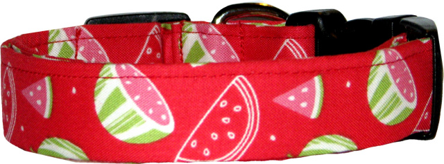 Watermelon Slices on Red Dog Collar