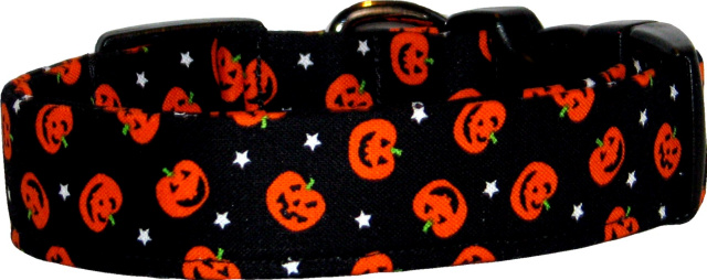 Mini Pumpkins Jack O'Lanterns on Black Dog Collar