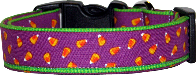 Mini Candy Corn on Purple Dog Collar