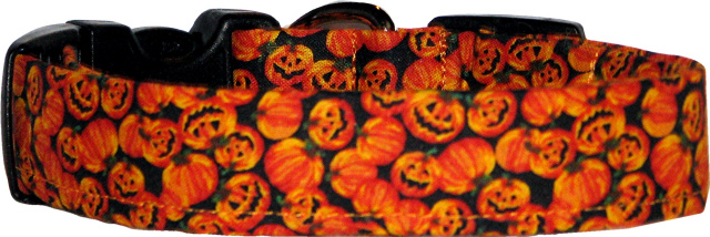 Tiny Jack O'Lanterns Dog Collar