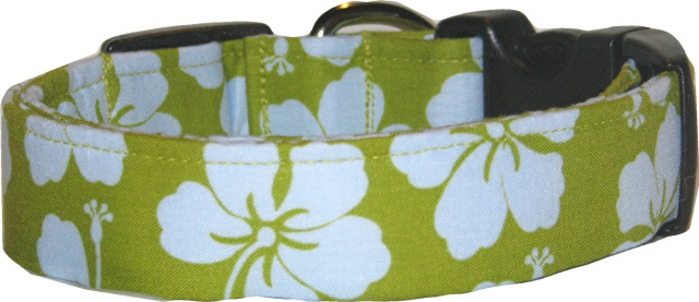 Kiwi & Blue Hawaiian Handmade Dog Collar