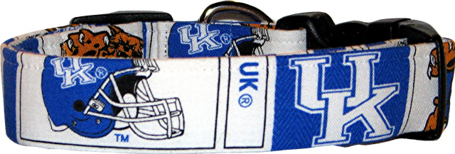 University of Kentucky #2 Handmade Dog Collar