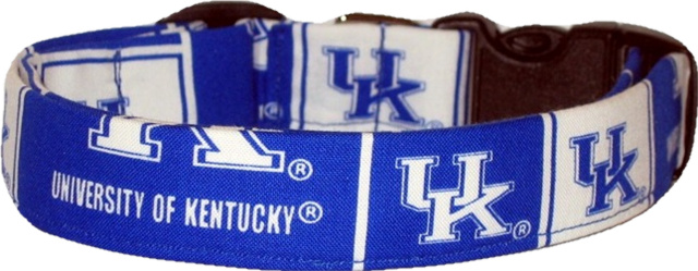 University of Kentucky Handmade Dog Collar