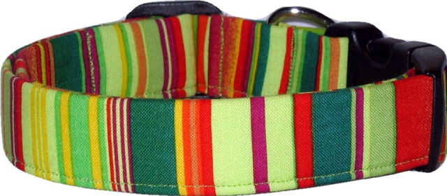 Vibrant Green, Orange & Yellow Striped Dog Collar