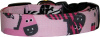 Funky Zebras on Pink Dog Collar