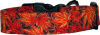 Late Fall Foliage Handmade Dog Collar