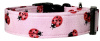 Red Ladybugs on Pink Dog 
