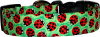 Cute Little Ladybugs on Green Dog Collar