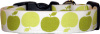 Market Fresh Apples Handmade Dog Collar