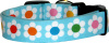 Vibrant Line of Daisies Aqua Dog Collar