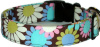 Brown & Blue Mod Daisies Handmade Dog Collar