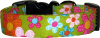 Vibrant Daisies on Green Handmade Dog Collar