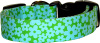 LIttle Vibrant LIme & Aqua Flowers Dog Collar