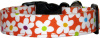 Vibrant Orange Daisy Handmade Dog Collar