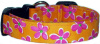 Orange & Pink Posies Custom Dog Collar