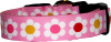 Pink Daisy Chain Dog Collar