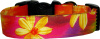 Vibrant Tie-Dye Daisy Dog Collar