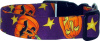 Purple Jack O'Lanterns Handmade Dog Collar