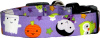 Dracula & Ghosts Glow in Dark Purple Dog Collar