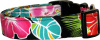 Vibrant Black Hawaiian Flowers Dog Collar