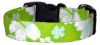 Lime Green & White Hawaiian Handmade Dog Collar