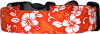 Mini Orange & White Hawaiian Dog Collar