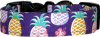 Purple Pineapples Hawaiian Dog Collar